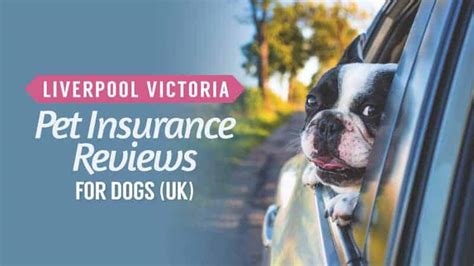 lv pet insurance contact number|lv pet insurance customer support.